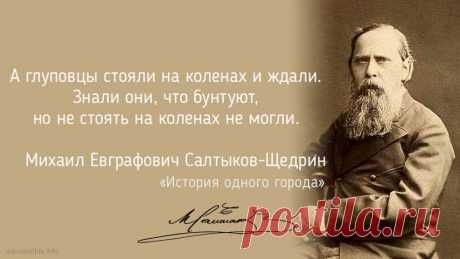 Михаил Евграфович Салтыков-Щедрин. История одного города :: цитата (1282)