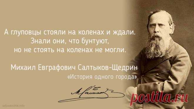 Михаил Евграфович Салтыков-Щедрин. История одного города :: цитата (1282)