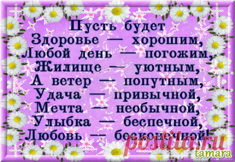 (5) Одноклассники