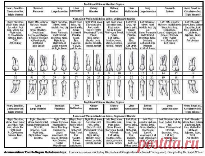 Вот почему не нужно удалять зубы мудрости!