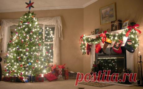 Поставим елку у окна
Гирлянда вьется…
Как жаль, что молодость одна
И не вернется.

Но этот праздник – НОВЫЙ ГОД! –
Как будто в детство
Нас обязательно вернет,
Ты жди, надейся.

Ведь все зависит от тебя,
Твоих желаний.
На елочке огни горят
Воспоминаний….

Как только стрелки пeрейдут 
Границу в полночь, 
Все чудеса произойдут, 
Ты это помни.

Ведь там, где елка у окна
Сверкает ярко,
Накроет наши имена
Волна подарков!