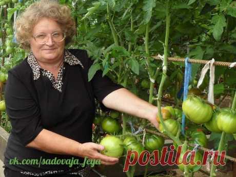 Новости