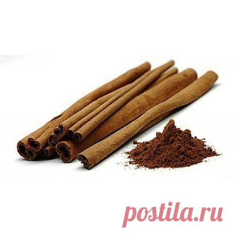 Корица - калорийность и свойства. Польза и вред корицы