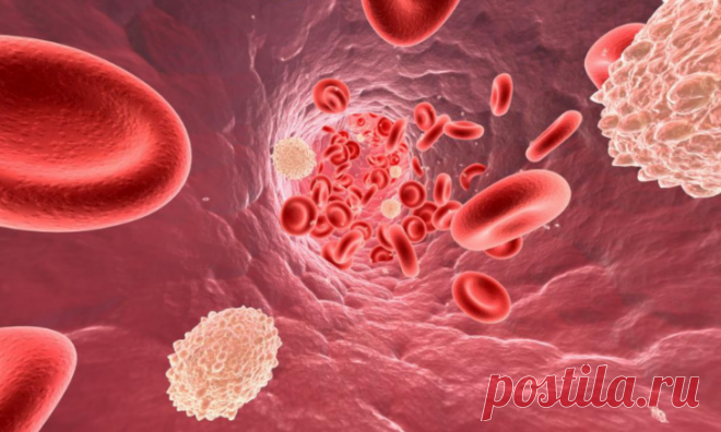 Народные средства для снижения холестерина | Polza-vred.su