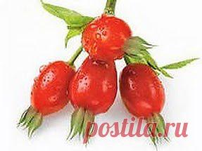 Вода камень точит | Друг пенсионера
Когда у меня в почках обнаружили камешки, для меня это было, как бы это вернее написать… Оплеуха судь­бы, удар под дых. До того мое тело меня ни разу не подводило, во всяком случае всерьез.