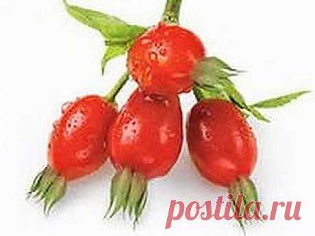 Вода камень точит | Друг пенсионера
Когда у меня в почках обнаружили камешки, для меня это было, как бы это вернее написать… Оплеуха судьбы, удар под дых. До того мое тело меня ни разу не подводило, во всяком случае всерьез.