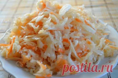 Капуста быстрого приготовления, вкуснее я еще не пробовала | ВКУСНЯХА | Яндекс Дзен