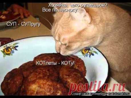 Пойдем поедим - забавный видеоролик с кулинарным уклоном| Со вкусом