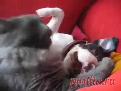 (7) Facebook