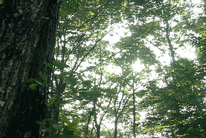 Анимации,картинки,открытки - Клуб фотошопоголиков