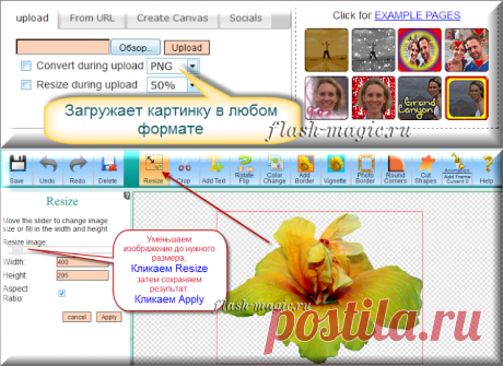 Творческая студия Flash Magic