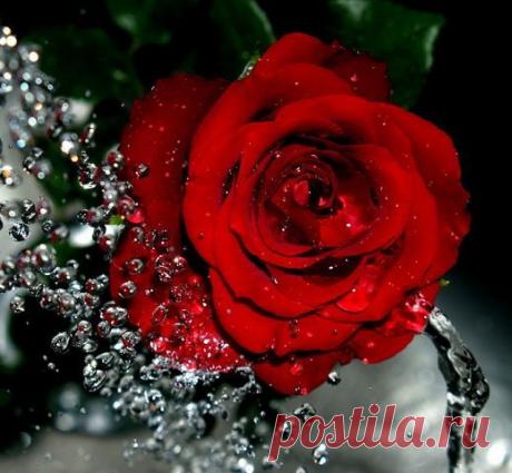 Любовь Тарасова
54 года, Россия, Москва