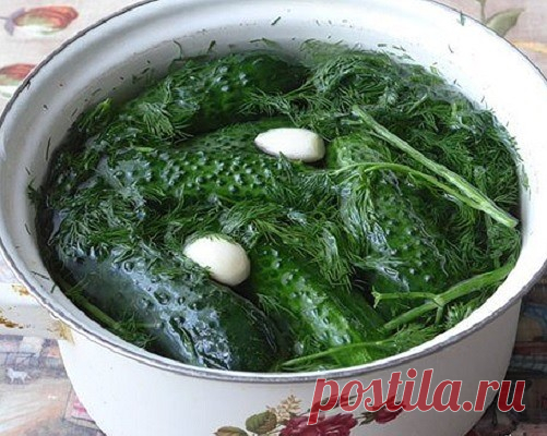 Огурцы в минералке. Вкуснота!