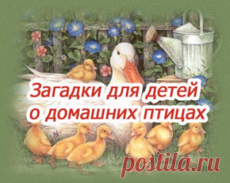 Развиваем речь