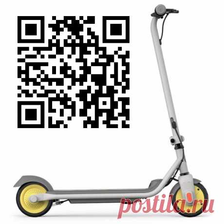 Ninebot KickScooter C8