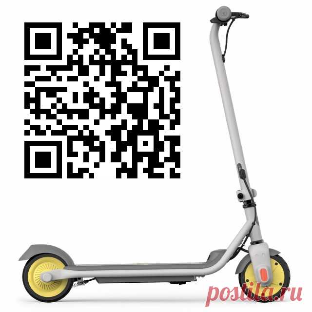 Ninebot KickScooter C8