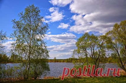 Лучшие фото – Пейзажи/Флора – Сообщество – Google+