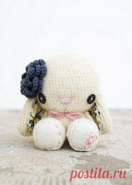 White Bunny | Flickr - Photo Sharing!