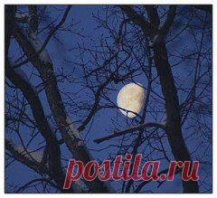 Лунный календарь