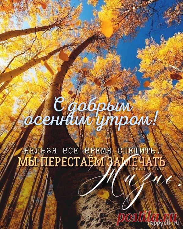 ☀️☕♥️ Доброе утро красивые картинки. (415 шт.) Доброе утро самые красивые картинки ❤️‍🔥. Самые стильные картинки с пожеланием доброго утра ☕. Красивые картинки для близких и друзей 😊.