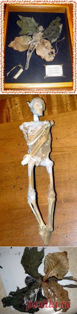 мумия феечки