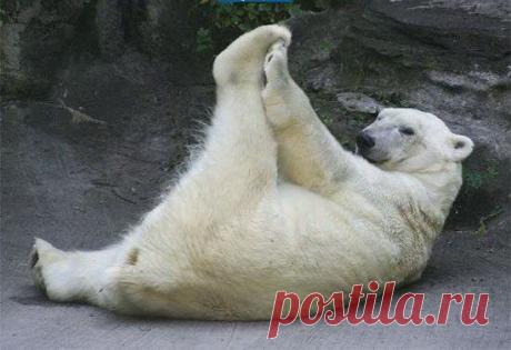 Василий Тимошин vasiliy-timoshin - Москва, Россия, 61 год на Мой Мир@Mail.ru