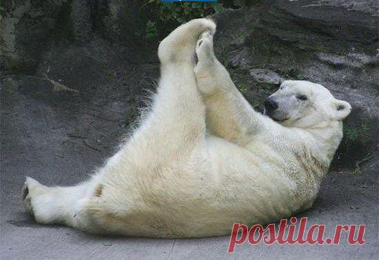 Василий Тимошин vasiliy-timoshin - Москва, Россия, 61 год на Мой Мир@Mail.ru