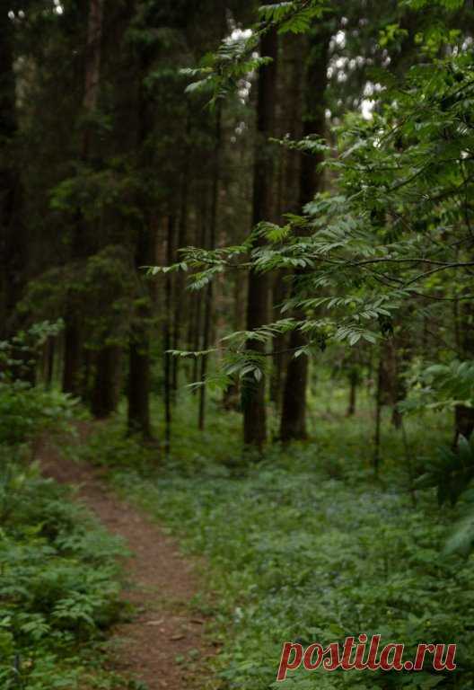 МОЛИТВА , ЧТОБЫ ЗАВИСТЬ ЛЮДСКАЯ НЕ ПРИЧИНИЛА ВРЕД 

Чтобы зависть людская вред не причиняла, читайте молитву трижды по надобности . После прочтения сделайте три поклона и на коленях помолитесь своими словами.

«Во имя Отца-Бога, Сына и Духа Святаго молим о всепрощении и помиловании в день светлый и праздничный. Трижды Единый Отец наш небесный, возносим слова радости в этот праздничный день, кланяемся Тебе и преклоняем колени в надежде на наставление и избавление от болезне...