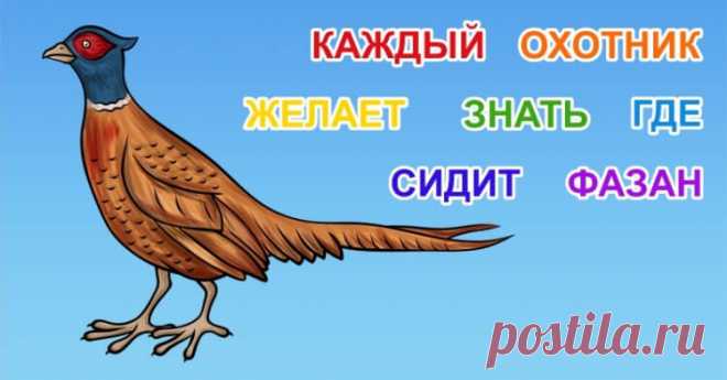 Стиль жизни