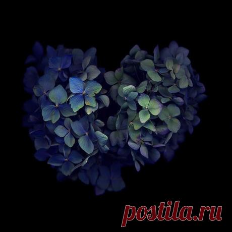37 фотографий о том, что природа нас любит
