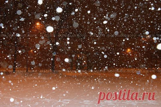 Snowfall at dark cold winter night in a city park. Парк имени 50-летия Октября. Стоковое фото, фотограф Ilaronsia / Фотобанк Лори