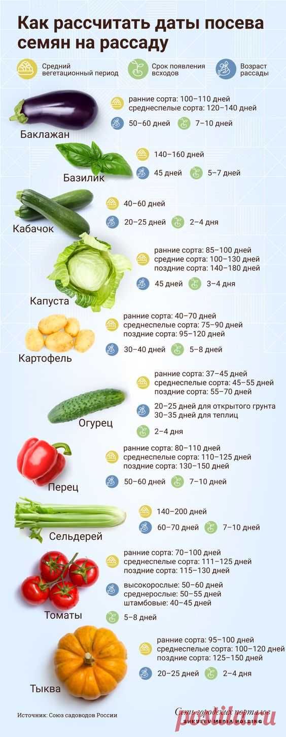 Время сажать перцы: когда сеять овощи на рассаду в 2022 году