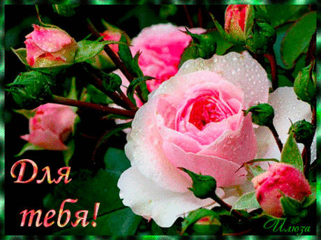 6boef6d2646coco9e57cdhmc65840odl.gif (492×368)