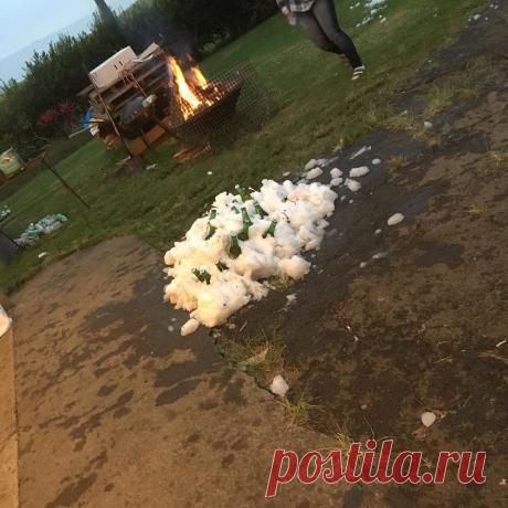 Фото: Снегопад на Гавайях