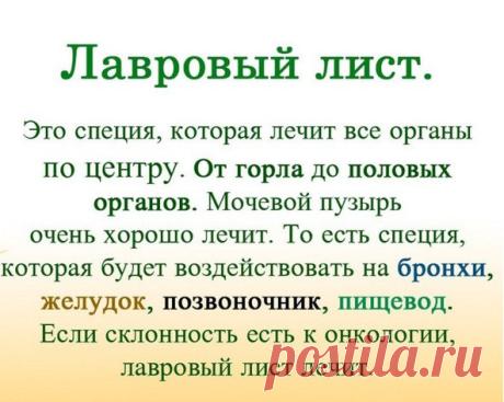 ЛАВРОВЫЙ ЛИСТ В ПОМОЩЬ