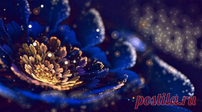 Чудеса фрактальной графики Фрактальная графика, которая создается с помощью математических формул, — оригинальный современный вид искусства. И она завоевывает все больше поклонников. Для ее создания не нужны карандаши или краск...