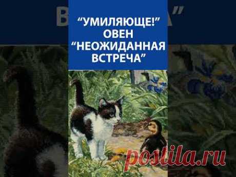 &quot;Умиляюще!&quot; Вышивка крестиком. Овен &quot;Неожиданная встреча&quot;