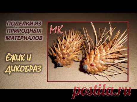 ЁЖИК И ДИКОБРАЗ поделки из шишек