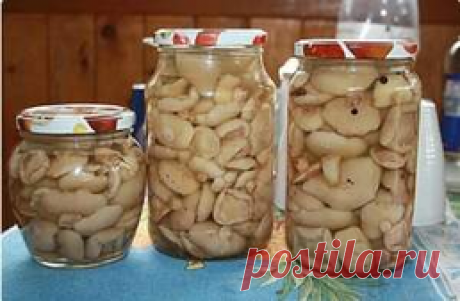 Дедовский способ быстрой засолки грибов на зиму: просто и вкусно