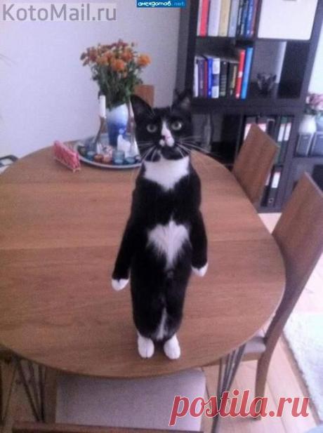 Я проголодался