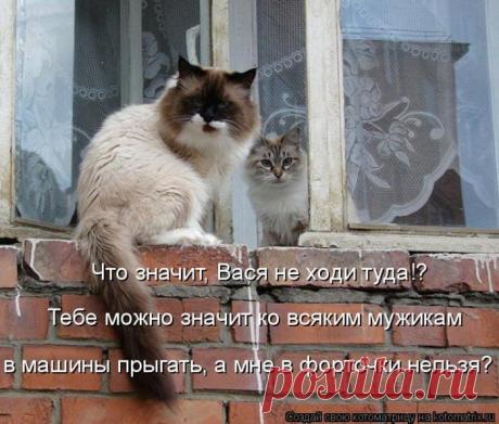 Мысли вслух..