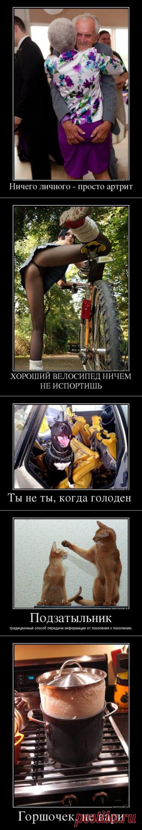 Новые прикольные демотиваторы | Позитив в картинках и не только