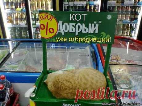 улыбнитесь!