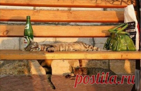 Отлично погулял...
