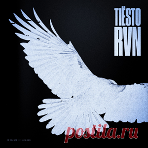 Tiesto - RVN (Raven) (Extended Mix) | 4DJsonline.com