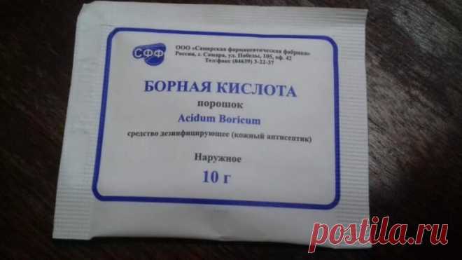 Помидоры зацвели? Вводим подкормку, чтобы плоды стали крупными и сахаристыми | Дачные записки | Яндекс Дзен