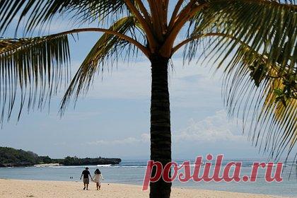 Житель Бали описал поведение россиян на острове словом «неподобающее»