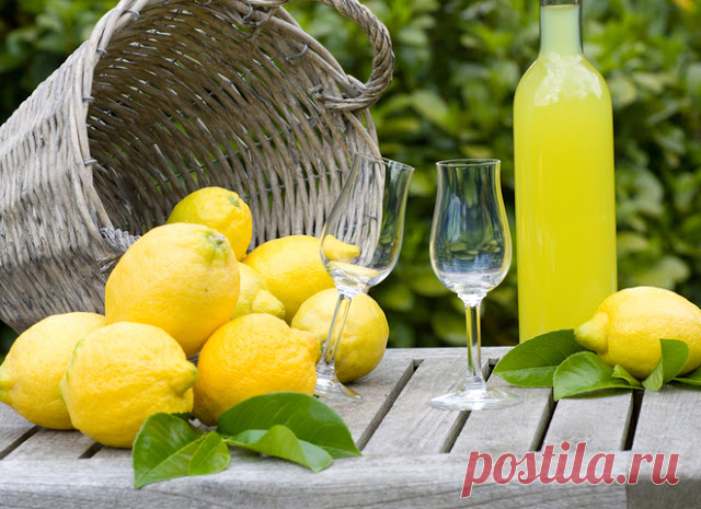 Домашний лимончелло: рецепт итальянского ликера