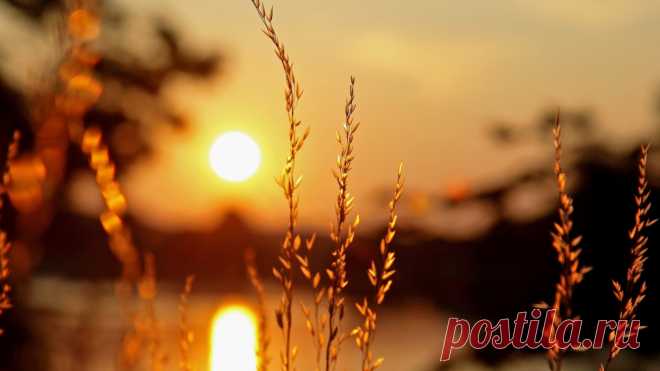 Самая короткая притча о прощении Краткость -  сестра таланта.