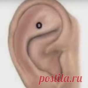 Точка для лечебного массажа: учимся быть здоровыми - МирТесен